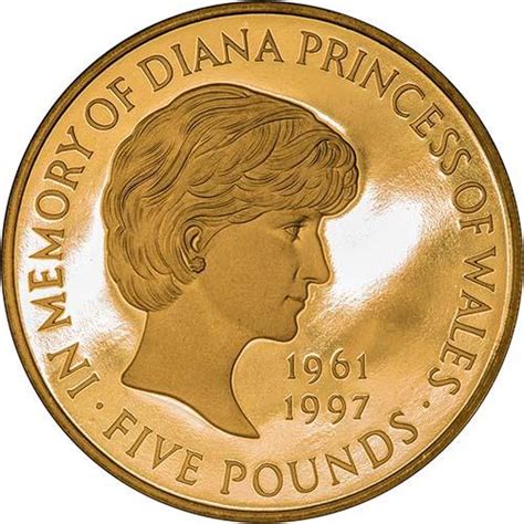 Measuring Diana Gold's Financial Status