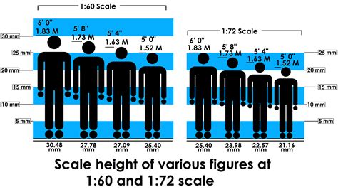 Overview of Height and Figure