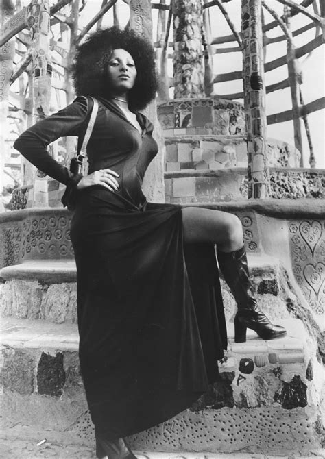 Pam Grier: A Pioneer in Hollywood