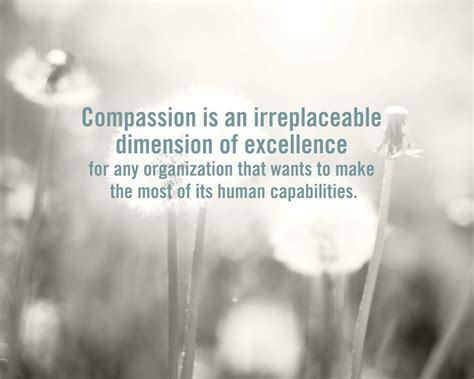 Philanthropy and Compassionate Endeavors