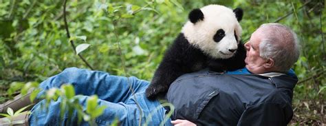 Rise to Fame: Panda Evans's Career Journey