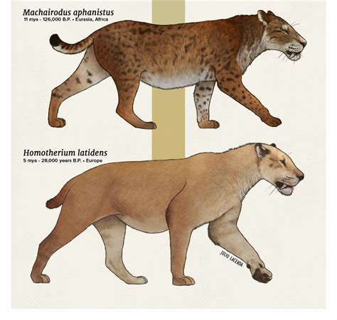 The Ancient Origins of Majectic Felines: Tracing their Ancient Ancestors