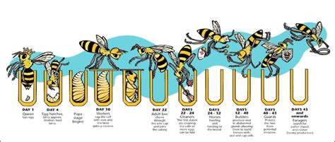 The Evolution of Bee Tran's Fashion Sense