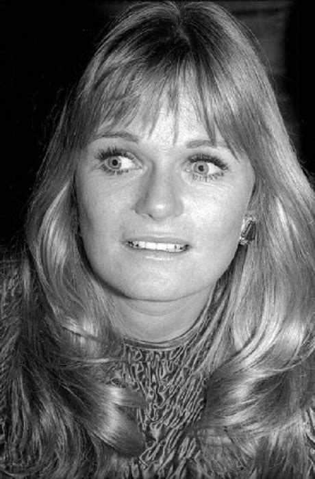 The Height and Figure of Valerie Perrine