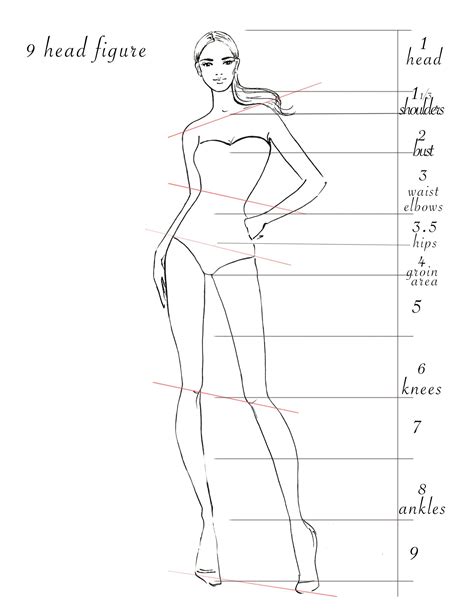 The Height and Figure of a Top Fashion Model