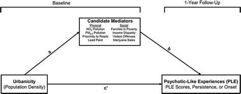 The Impact of Christine Antonsen Andersen's Contributions