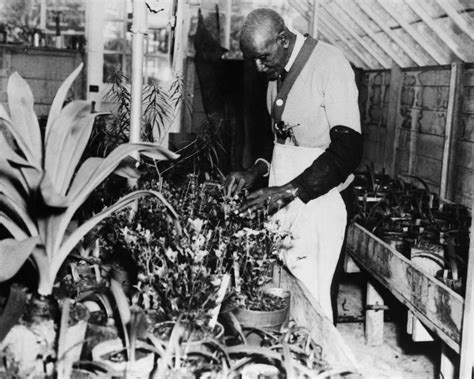 The Impact of George Washington Carver's Discoveries