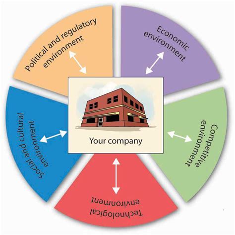 The Influence and Impact of Shanis in the Industry