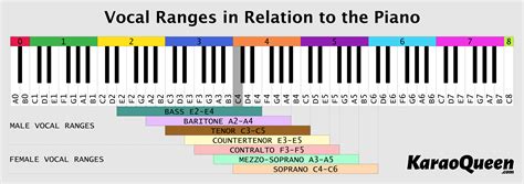 The Magnificent Voice: The Vocal Range of a Unique Talent