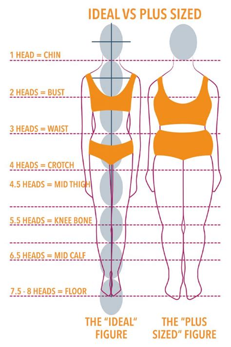 The Perfect Figure: Analyzing the Body Measurements of Debs Deepthroat