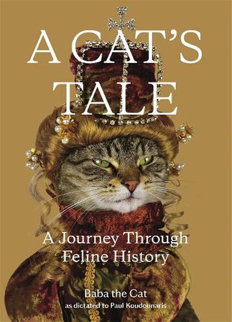 The Remarkable Journey of Marcy the Feline: A Tale of Triumph and Inspiration