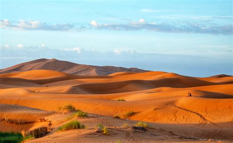 The Timeless Beauty of Sahara