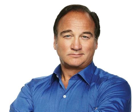 The Transition to Television: James Belushi's Impactful TV Career