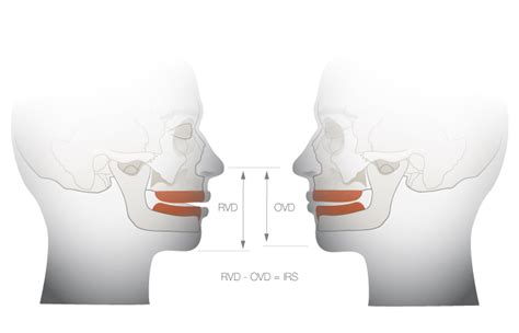 The Vertical Dimension: An Exploration of Kaia's Stature