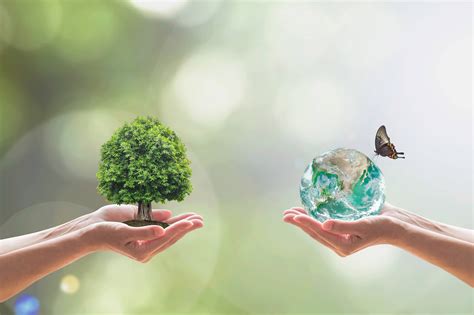 The Vision for a Greener World