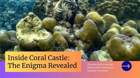 Unraveling the Enigma: Exploring Coral Joice's Mysteries