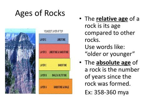 Unveiling Paris Rocks' Age and Height