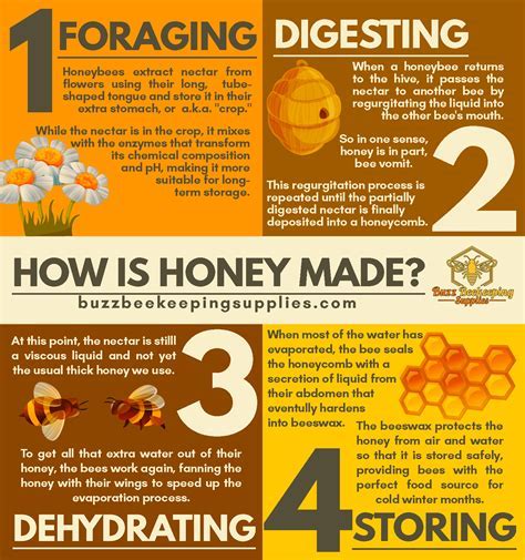 Unveiling the Characteristics of Honey Hundreds