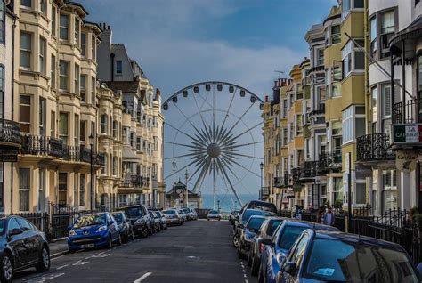 Unveiling the True Years: Unlocking the Enigma Behind Brighton Blaze's Longevity